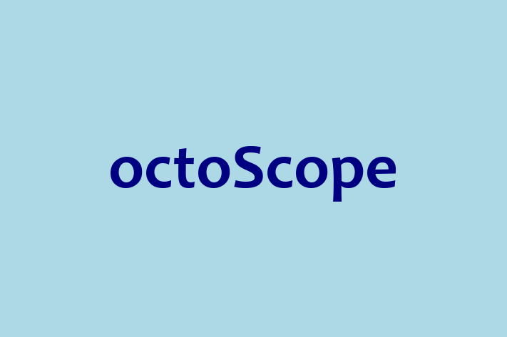 IT Company octoScope