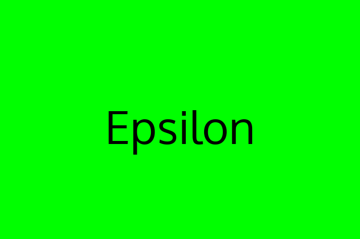 IT Company Epsilon