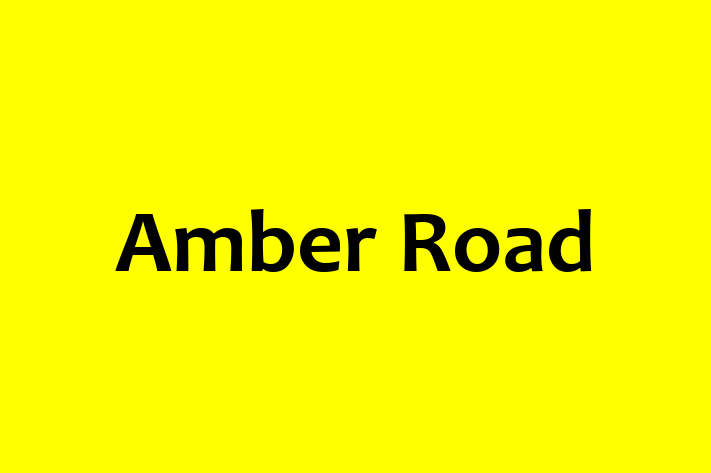 Software Development Firm Amber Road