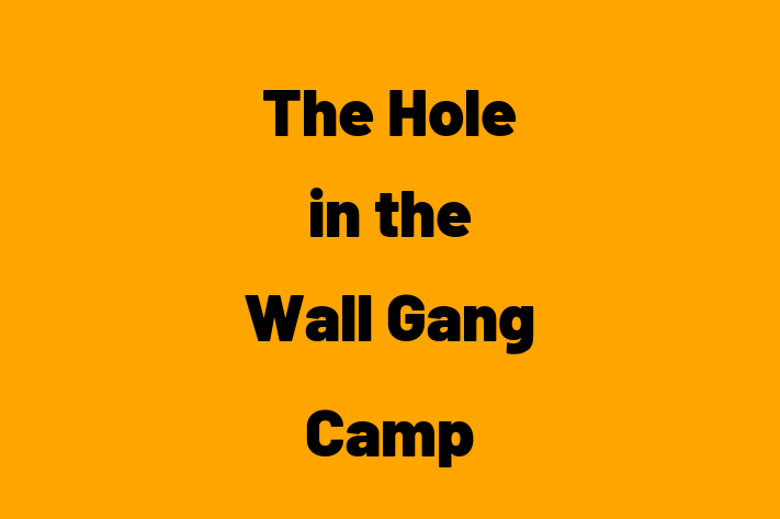 Labor Relations The Hole in the Wall Gang Camp