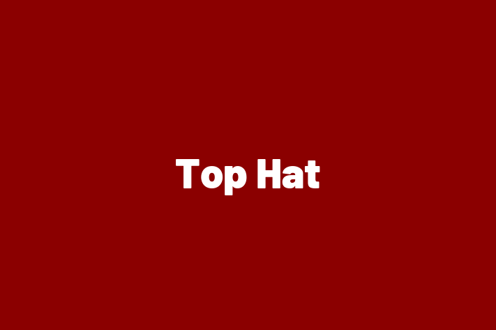 Software Firm Top Hat