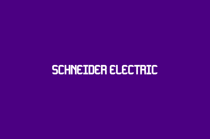 People Management Schneider Electric