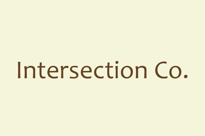 Software Firm Intersection Co.