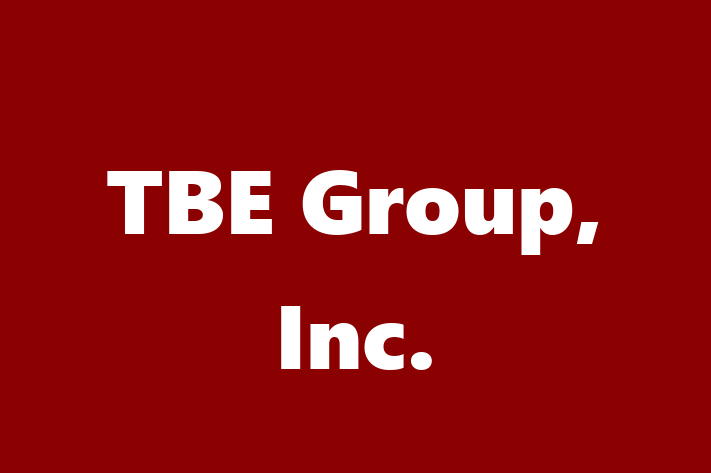 Technology Company TBE Group Inc.