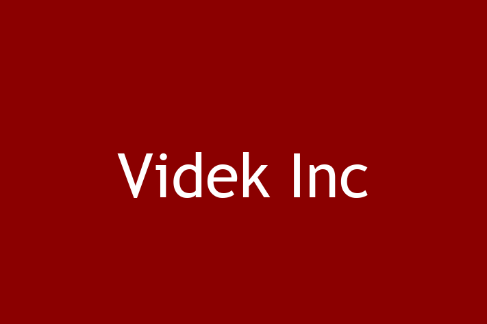 Software Development Firm Videk Inc