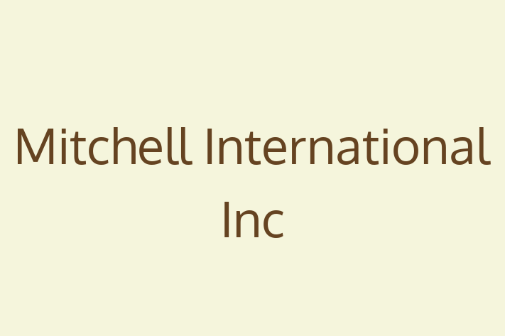 Software Engineering Company Mitchell International Inc