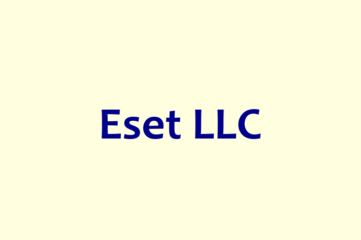 Technology Solutions Firm Eset LLC