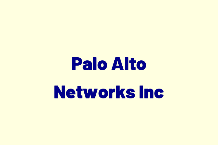 Software Consultancy Palo Alto Networks Inc