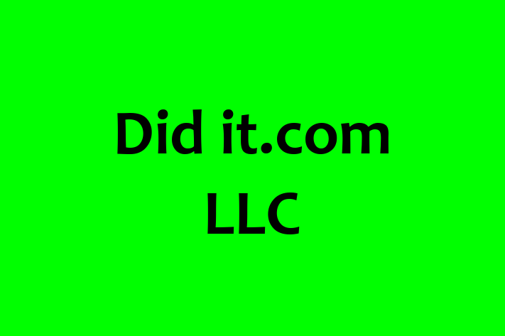 Digital Solutions Provider Did it.com LLC