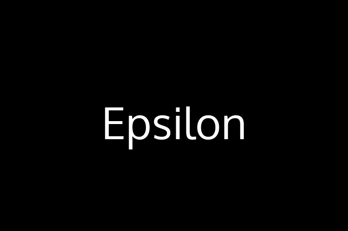 Software Firm Epsilon