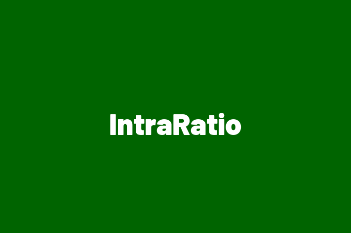 Software Engineering Company IntraRatio