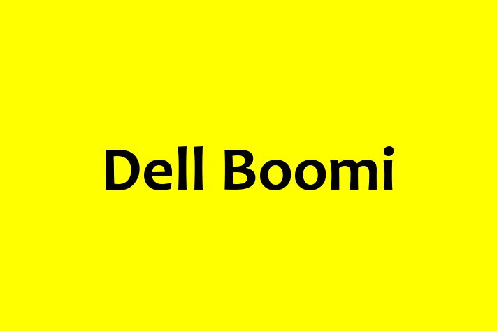 Software Solutions Provider Dell Boomi