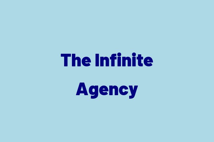 Software Firm The Infinite Agency