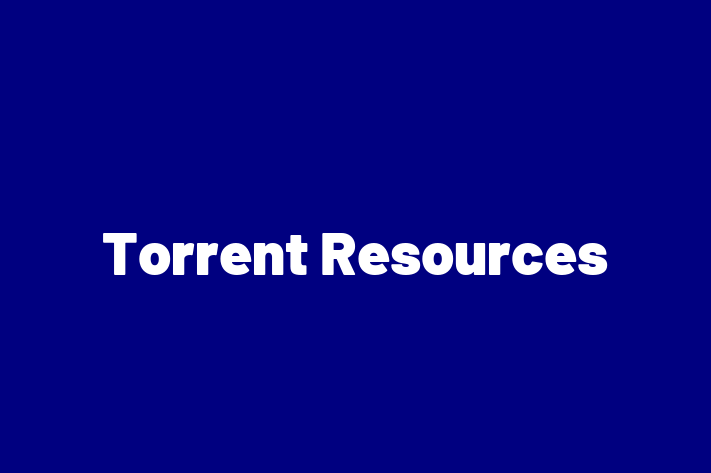 Technology Solutions Firm Torrent Resources