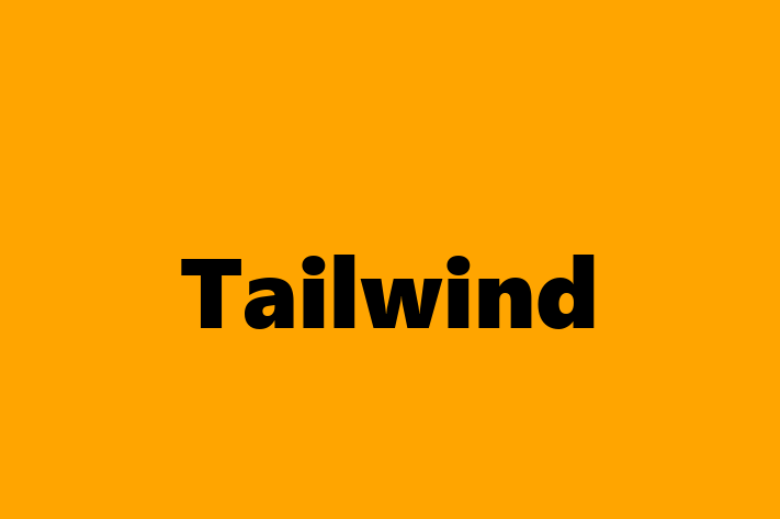 Software Engineering Company Tailwind