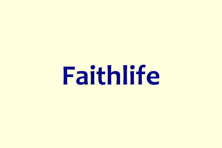 Application Development Company Faithlife