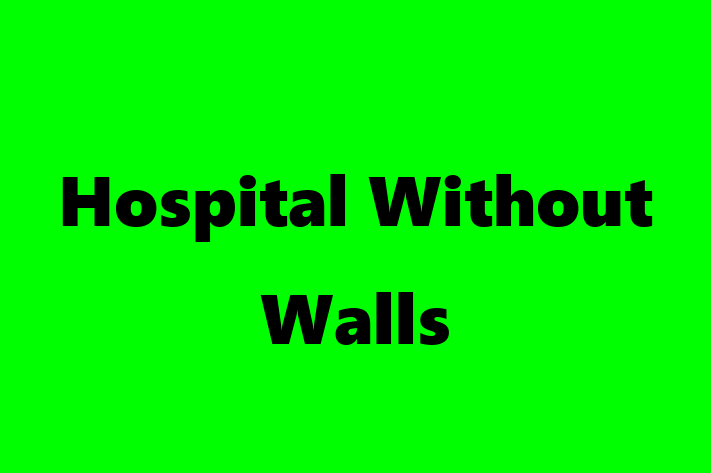 Human Resource Management Hospital Without Walls