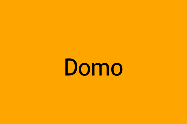 Software Engineering Company Domo