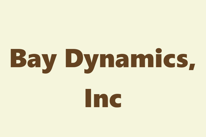 Application Development Company Bay Dynamics Inc