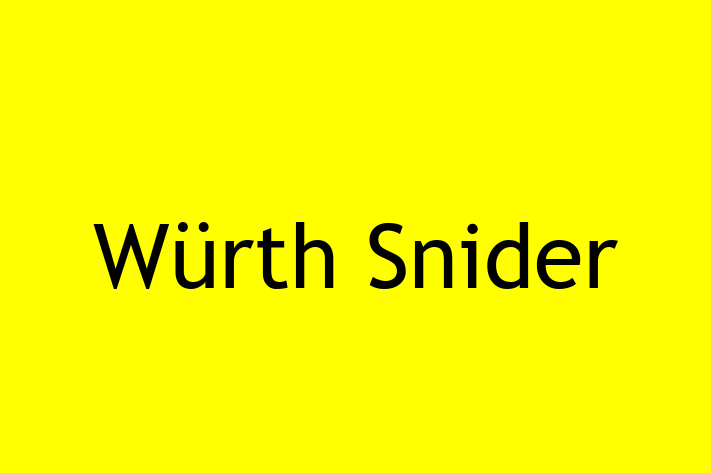 Tech Solutions Company Wrth Snider