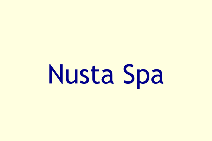 Software Development Company Nusta Spa