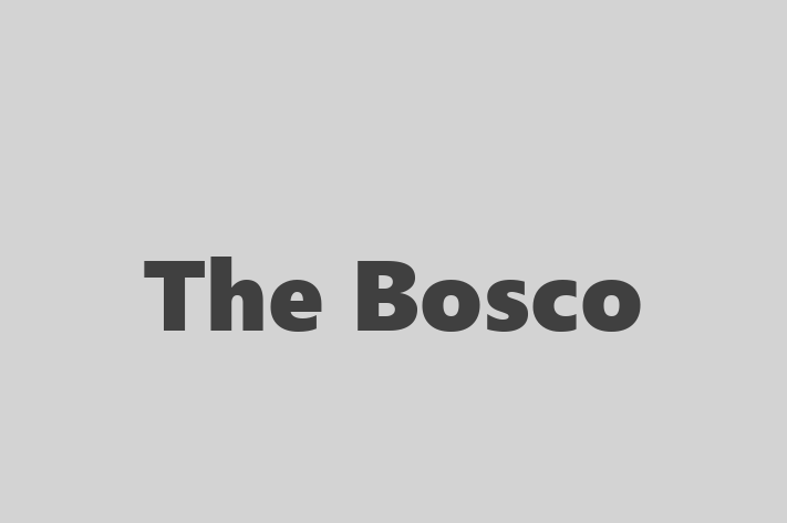 Software Solutions Provider The Bosco