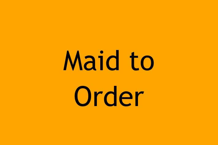 Home Maintenance Maid to Order