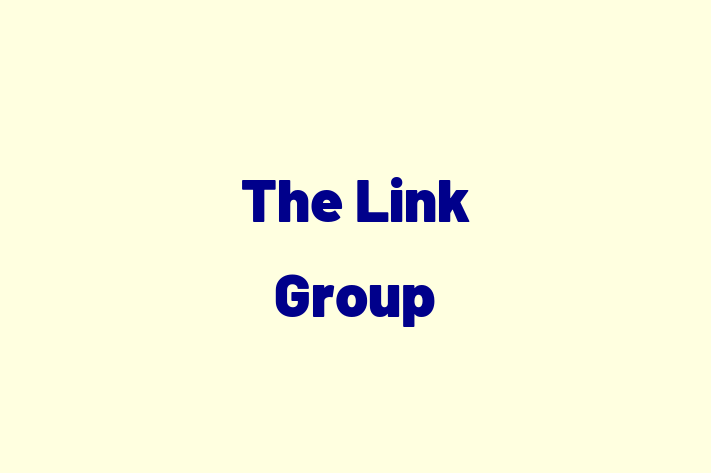 Software Solutions Provider The Link Group