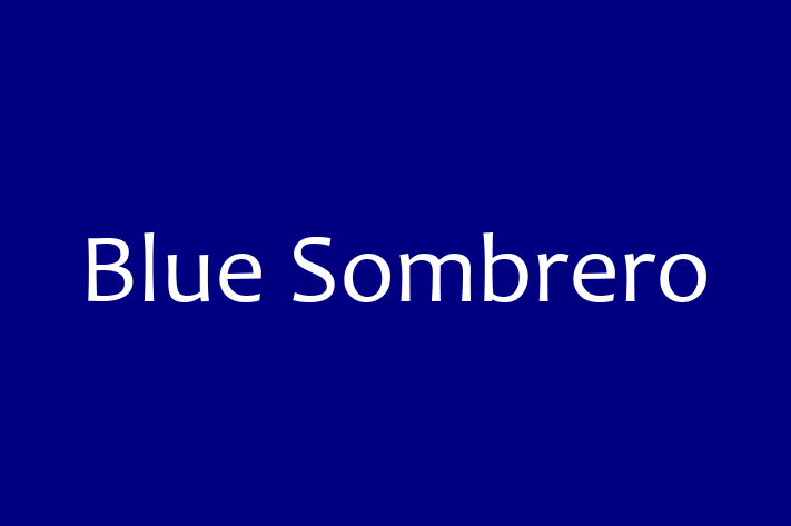 Technology Solutions Firm Blue Sombrero