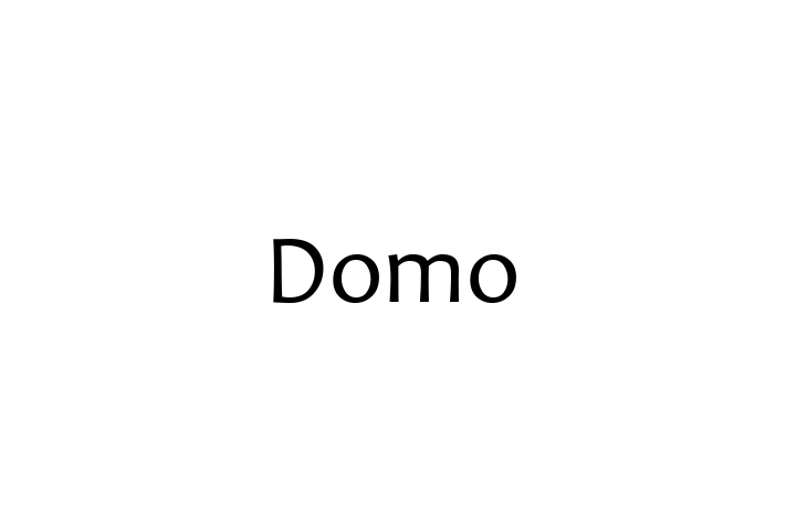 Technology Solutions Firm Domo