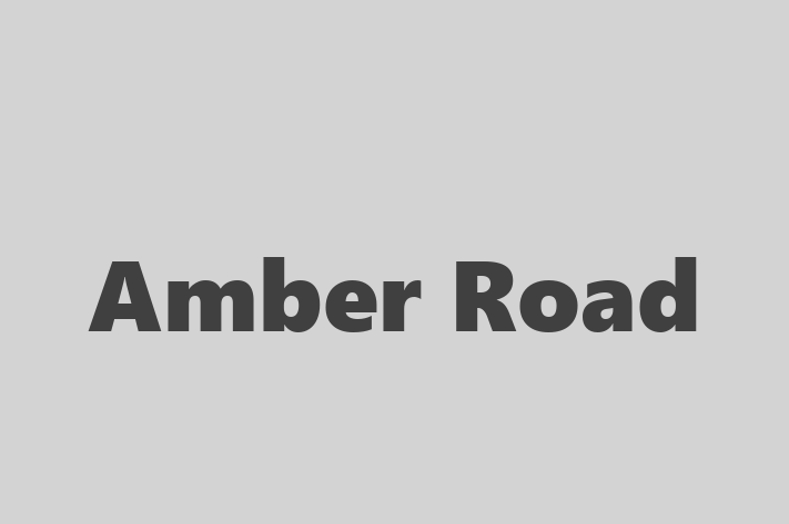 Tech Solutions Company Amber Road