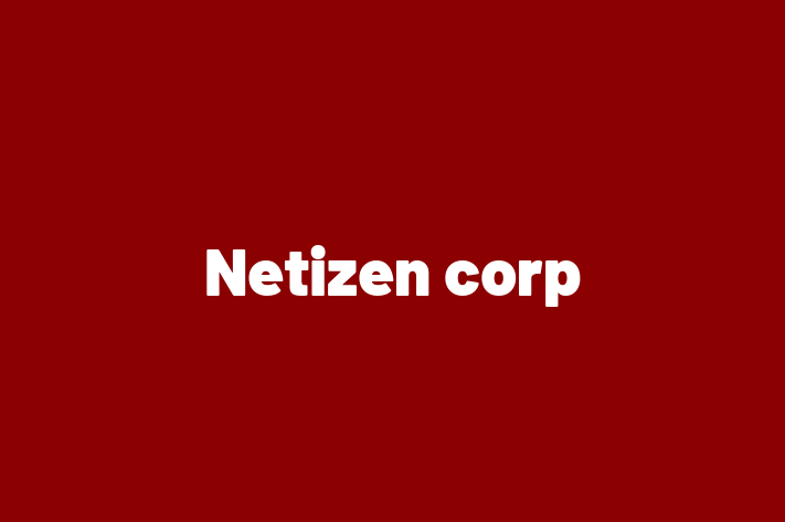 Software Engineering Company Netizen corp