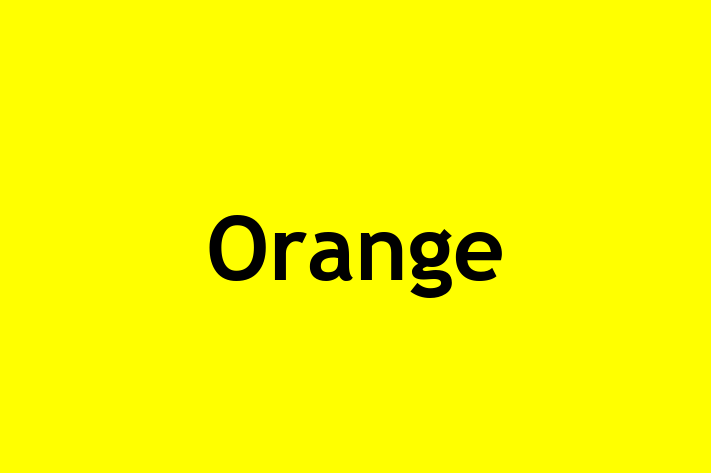 Application Development Company Orange