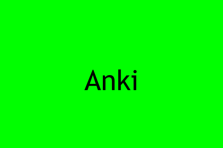 Application Development Company Anki