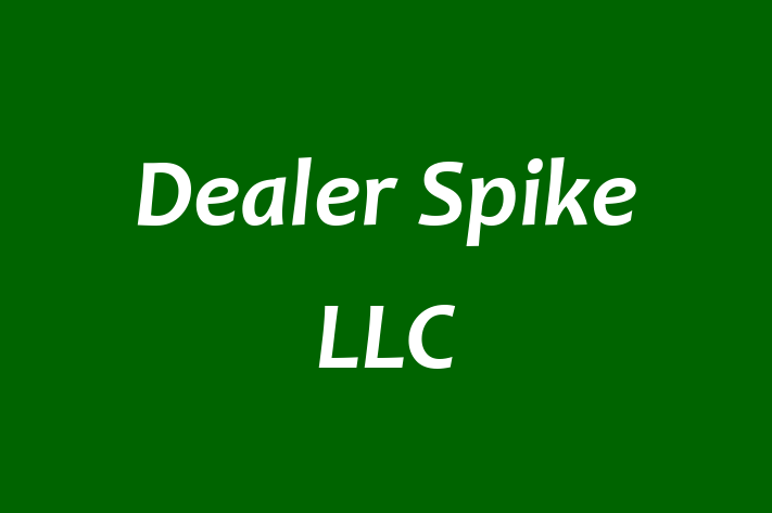 Software Firm Dealer Spike LLC