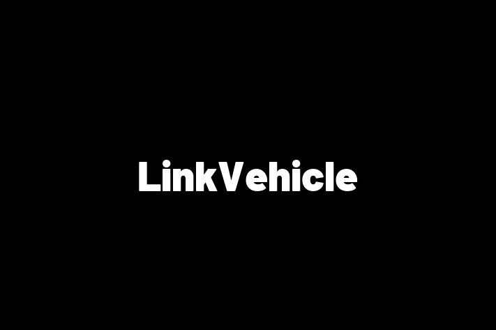 Software Consultancy LinkVehicle