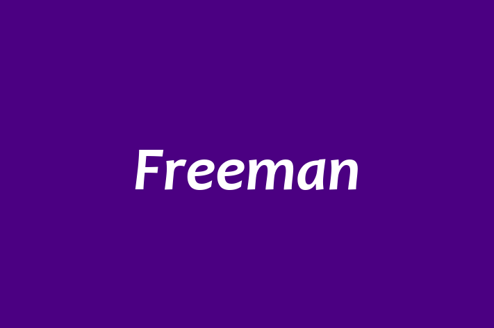 Software Engineering Company Freeman