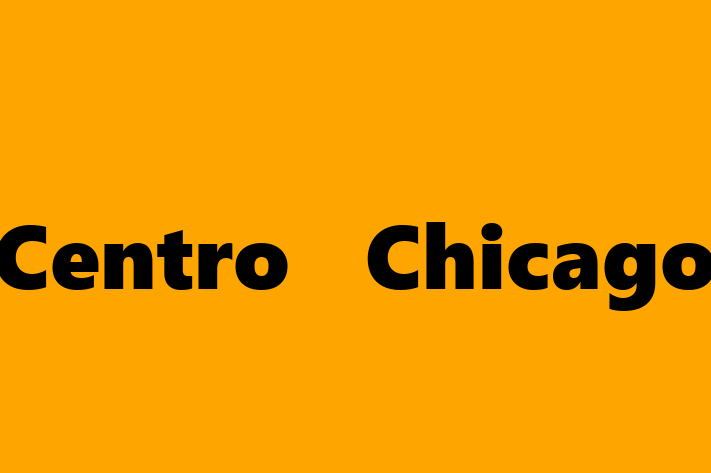 Tech Firm Centro  Chicago