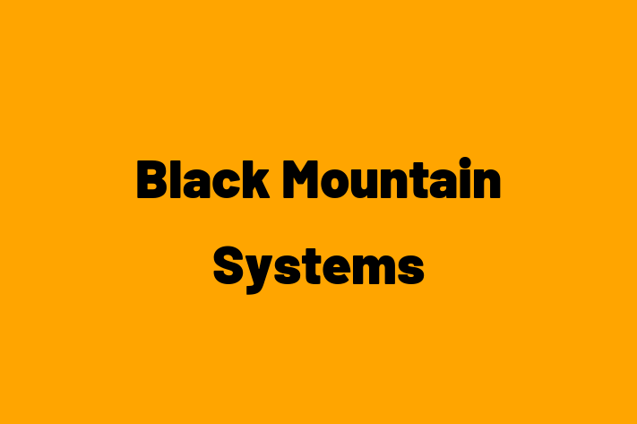 Software Firm Black Mountain Systems