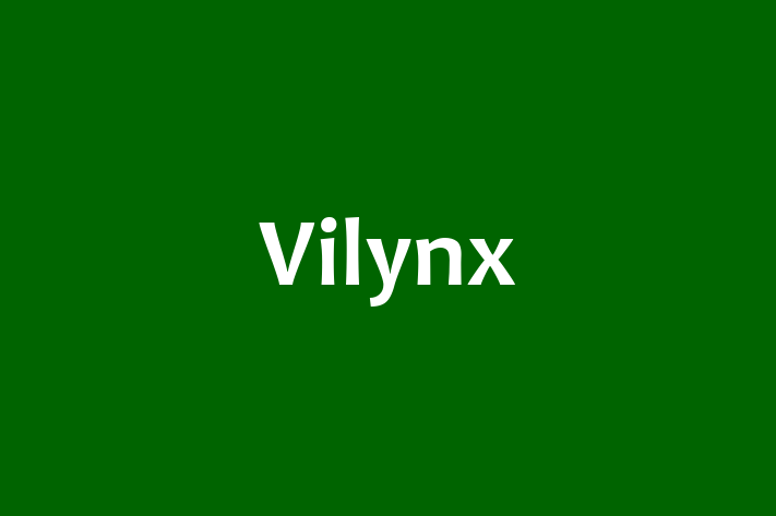 Software Development Company Vilynx