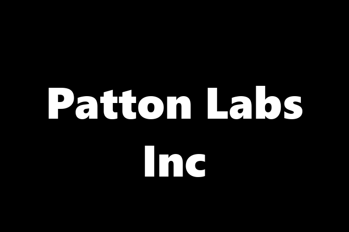 Human Capital Management Patton Labs Inc