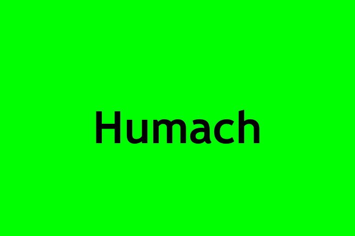 Software Development Firm Humach