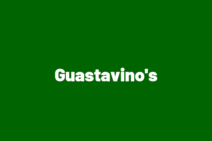 Software Development Company Guastavinos