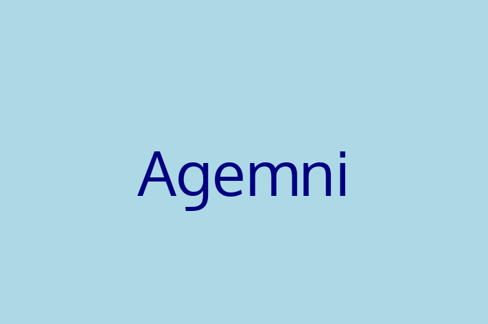 Software Development Company Agemni