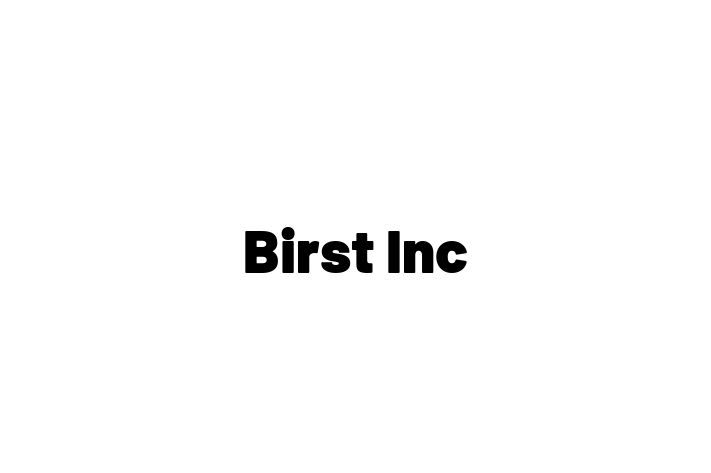 IT Company Birst Inc