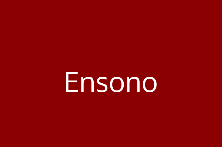 Software Solutions Provider Ensono