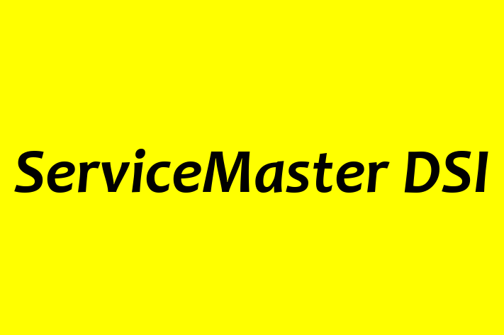 Employee Resource Management ServiceMaster DSI