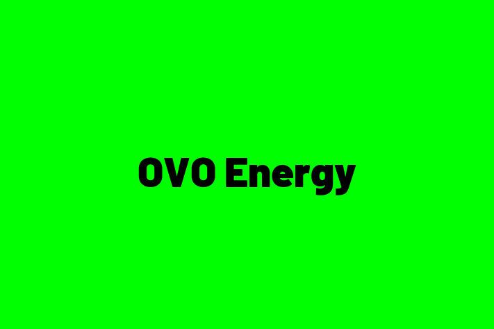 Software Engineering Company OVO Energy