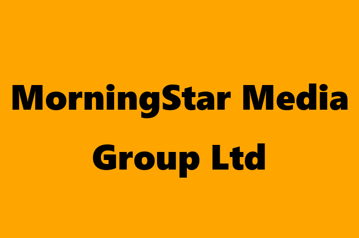 Software Engineering Company MorningStar Media Group Ltd