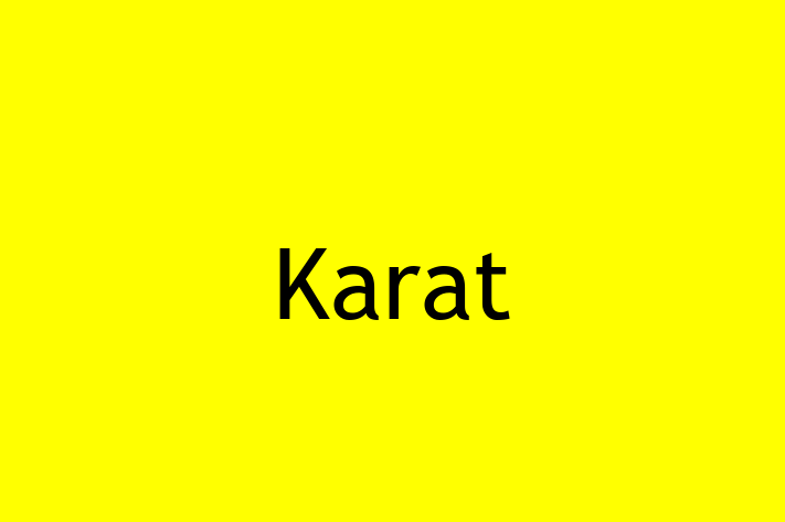 Software Development Company Karat